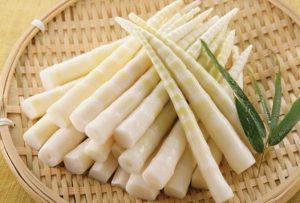 brotes de bambu